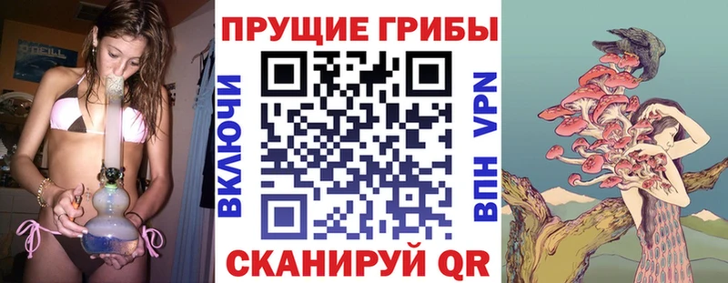 Галлюциногенные грибы прущие грибы  Темрюк 