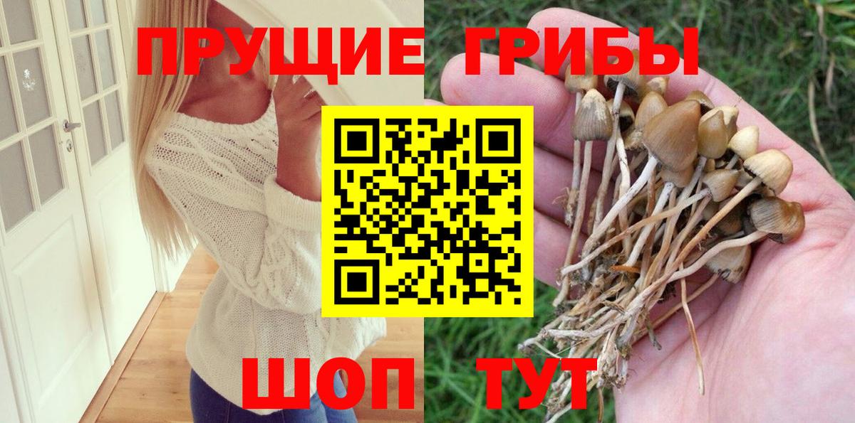 Галлюциногенные грибы MAGIC MUSHROOMS Темрюк