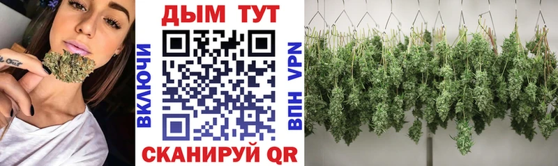 где купить наркотик  площадка какой сайт  Каннабис White Widow  Темрюк 